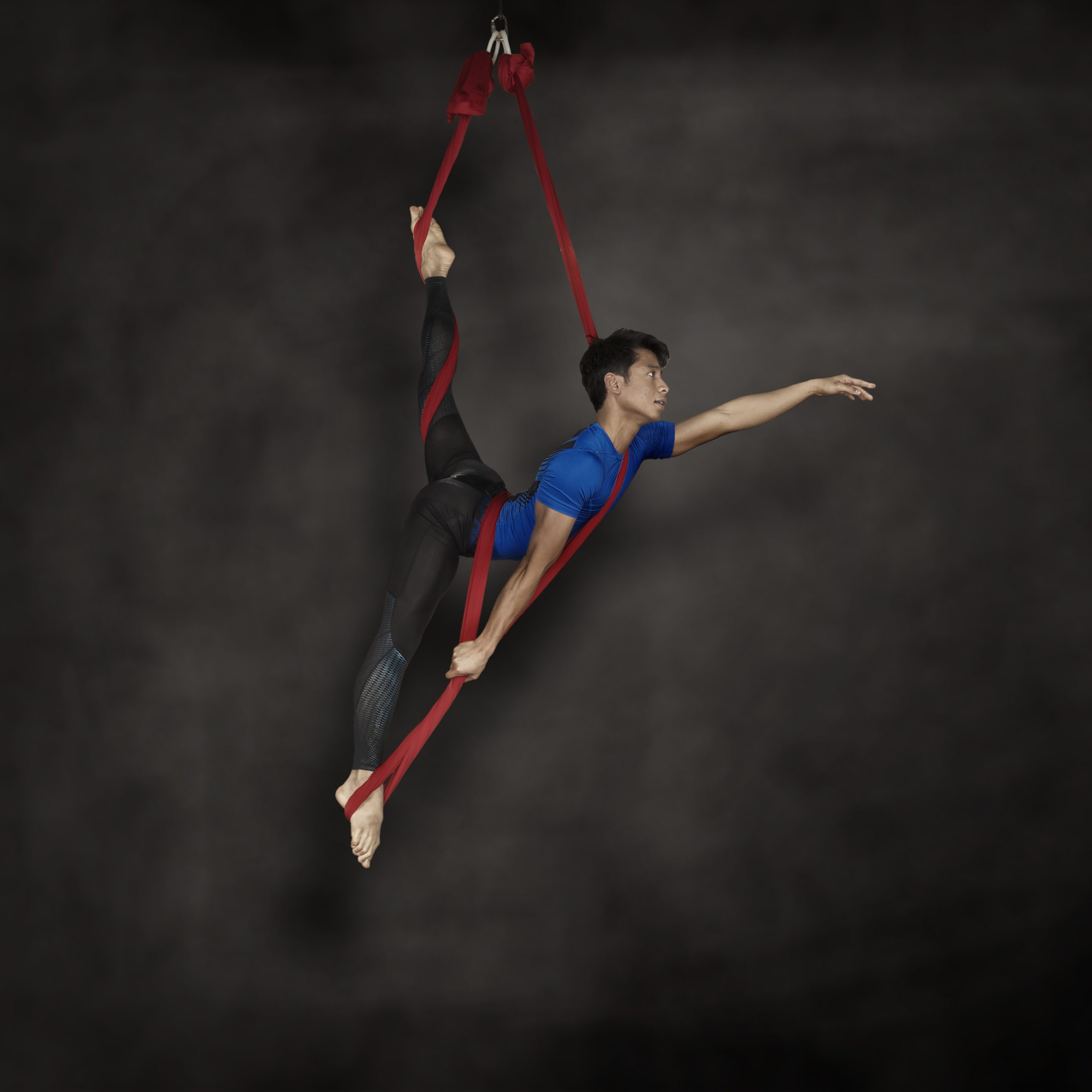 Flying Fantastic